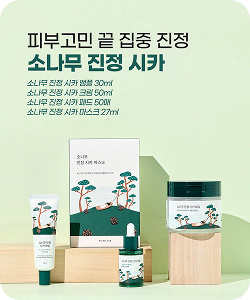 소나무 진정 시카 게시물 바로가기