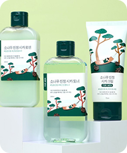 소나무 진정 시카 게시물 바로가기
